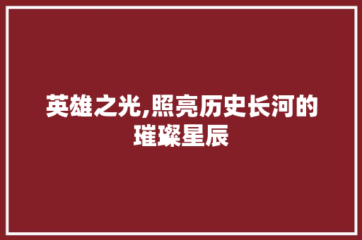 英雄之光,照亮历史长河的璀璨星辰