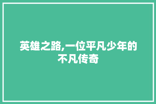 英雄之路,一位平凡少年的不凡传奇 演讲稿范文