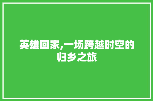 英雄回家,一场跨越时空的归乡之旅