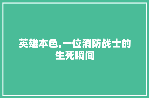 英雄本色,一位消防战士的生死瞬间