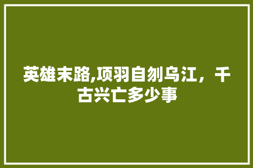 英雄末路,项羽自刎乌江，千古兴亡多少事