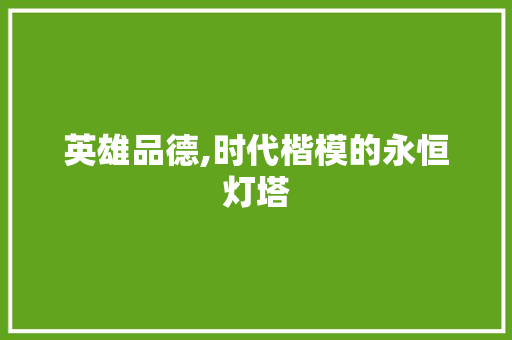 英雄品德,时代楷模的永恒灯塔