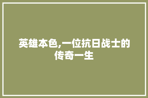 英雄本色,一位抗日战士的传奇一生