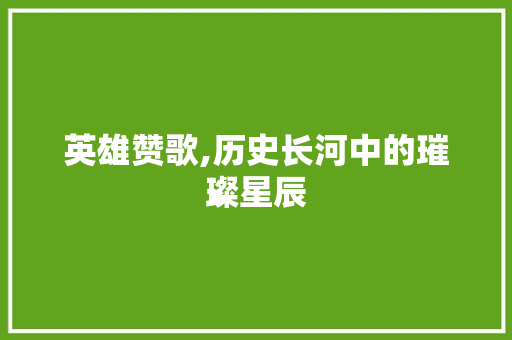 英雄赞歌,历史长河中的璀璨星辰