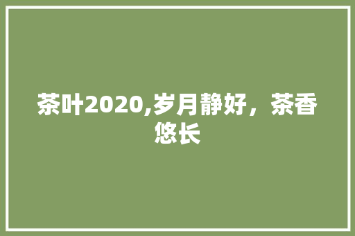 茶叶2020,岁月静好，茶香悠长