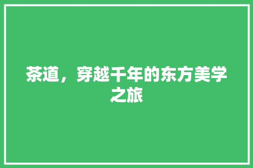 茶道，穿越千年的东方美学之旅