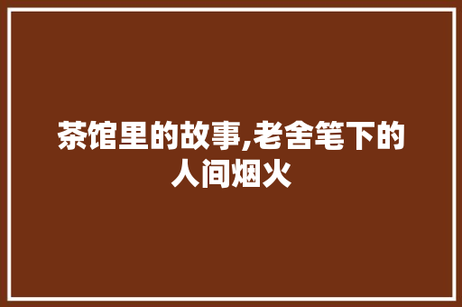 茶馆里的故事,老舍笔下的人间烟火