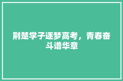 荆楚学子逐梦高考，青春奋斗谱华章