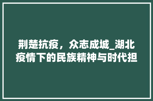 荆楚抗疫，众志成城_湖北疫情下的民族精神与时代担当