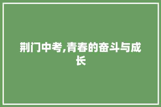 荆门中考,青春的奋斗与成长