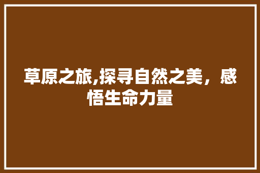 草原之旅,探寻自然之美，感悟生命力量