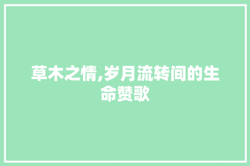 草木之情,岁月流转间的生命赞歌