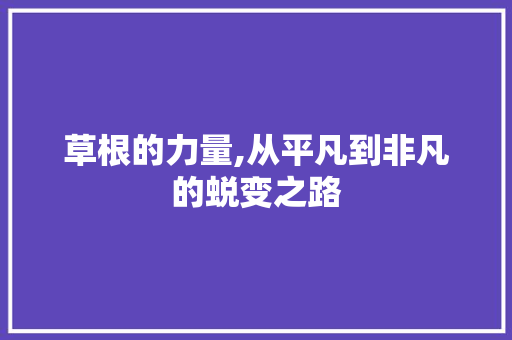 草根的力量,从平凡到非凡的蜕变之路