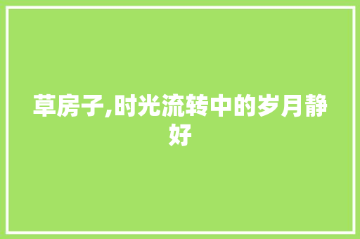 草房子,时光流转中的岁月静好