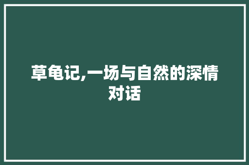 草龟记,一场与自然的深情对话