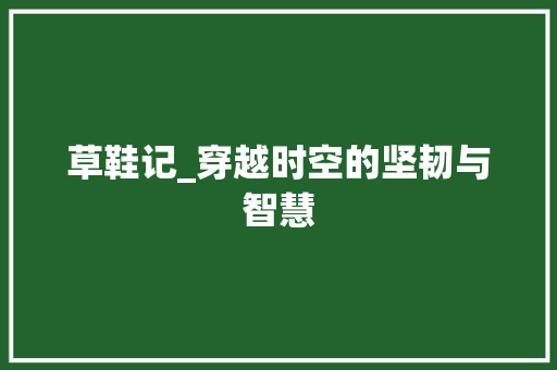 草鞋记_穿越时空的坚韧与智慧