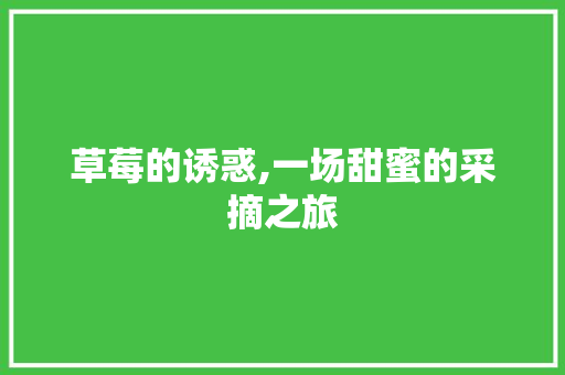 草莓的诱惑,一场甜蜜的采摘之旅