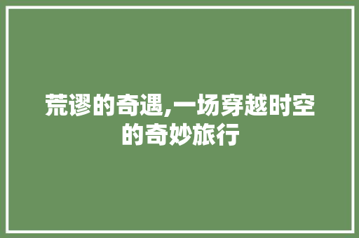 荒谬的奇遇,一场穿越时空的奇妙旅行