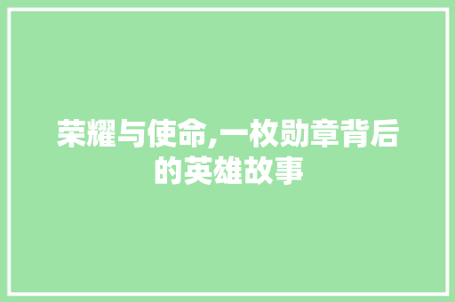 荣耀与使命,一枚勋章背后的英雄故事