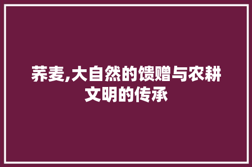 荞麦,大自然的馈赠与农耕文明的传承