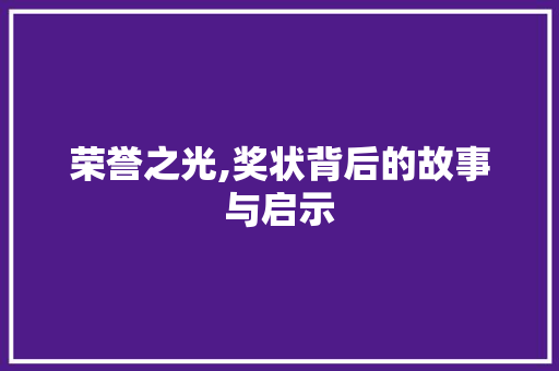 荣誉之光,奖状背后的故事与启示