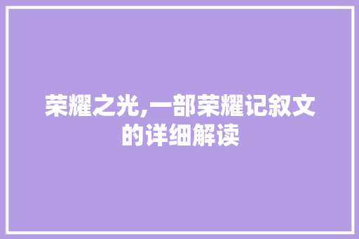 荣耀之光,一部荣耀记叙文的详细解读