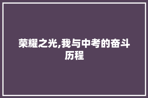 荣耀之光,我与中考的奋斗历程