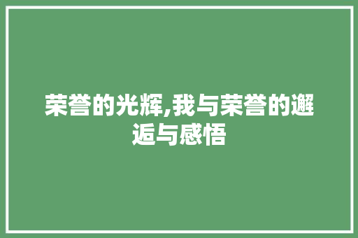 荣誉的光辉,我与荣誉的邂逅与感悟