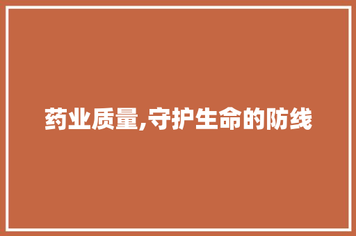 药业质量,守护生命的防线