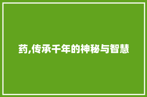 药,传承千年的神秘与智慧