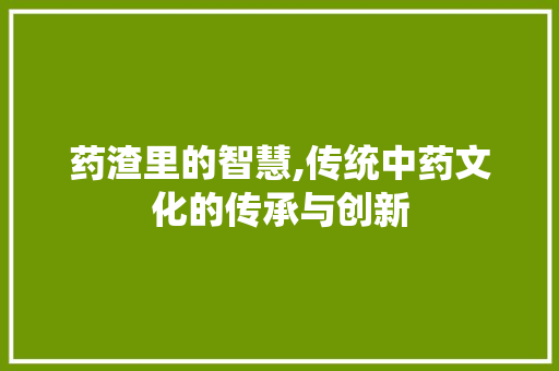 药渣里的智慧,传统中药文化的传承与创新