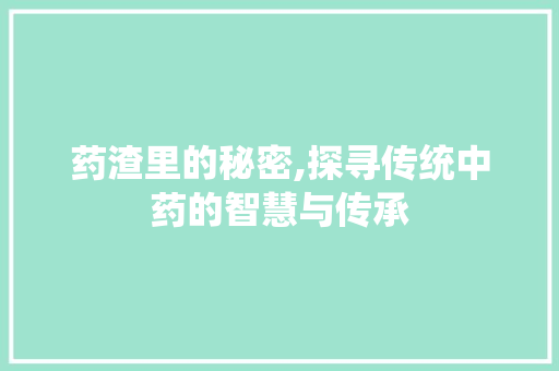 药渣里的秘密,探寻传统中药的智慧与传承