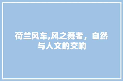 荷兰风车,风之舞者，自然与人文的交响