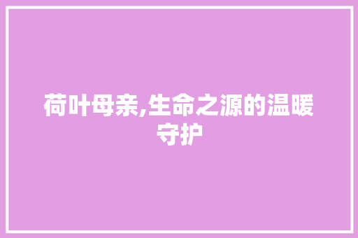 荷叶母亲,生命之源的温暖守护