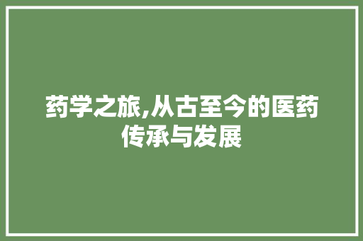 药学之旅,从古至今的医药传承与发展