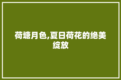 荷塘月色,夏日荷花的绝美绽放