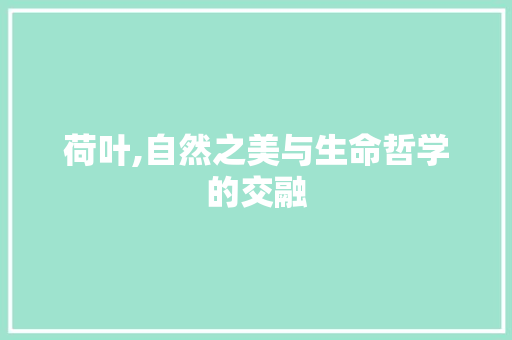 荷叶,自然之美与生命哲学的交融