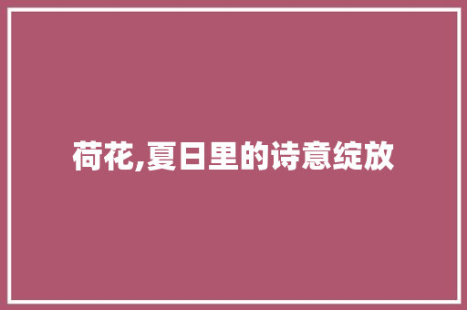 荷花,夏日里的诗意绽放