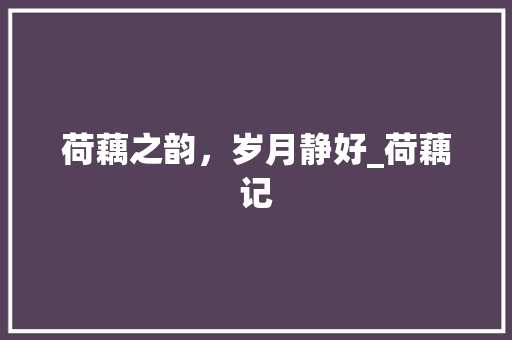 荷藕之韵，岁月静好_荷藕记