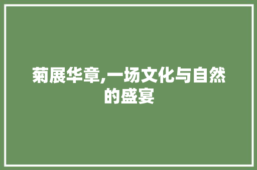 菊展华章,一场文化与自然的盛宴