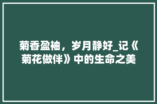 菊香盈袖，岁月静好_记《菊花做伴》中的生命之美