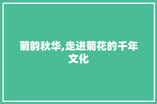 菊韵秋华,走进菊花的千年文化