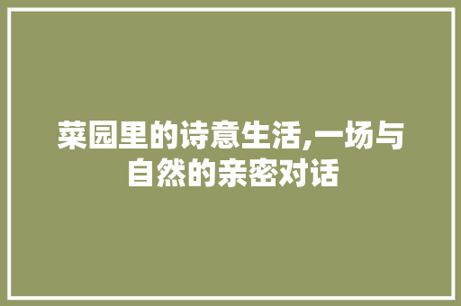 菜园里的诗意生活,一场与自然的亲密对话