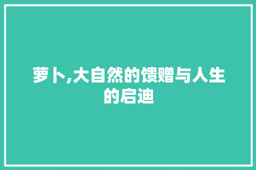 萝卜,大自然的馈赠与人生的启迪