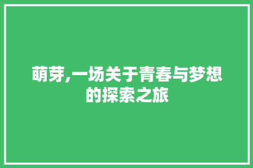 萌芽,一场关于青春与梦想的探索之旅