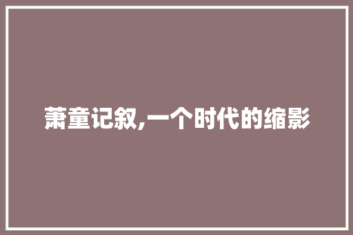 萧童记叙,一个时代的缩影