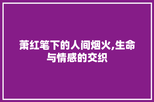 萧红笔下的人间烟火,生命与情感的交织