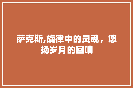 萨克斯,旋律中的灵魂，悠扬岁月的回响