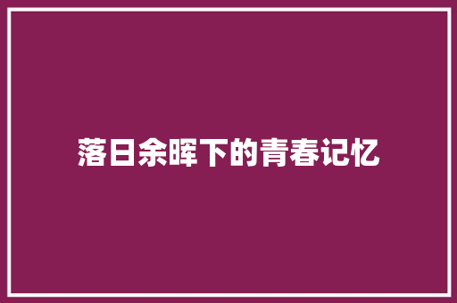 落日余晖下的青春记忆