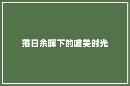 落日余晖下的唯美时光